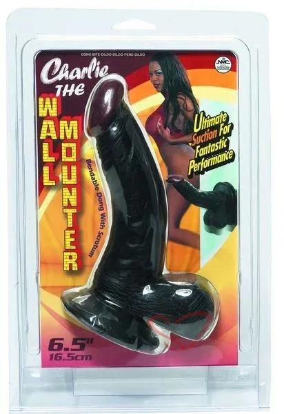 Charli̇e Wall Mounter