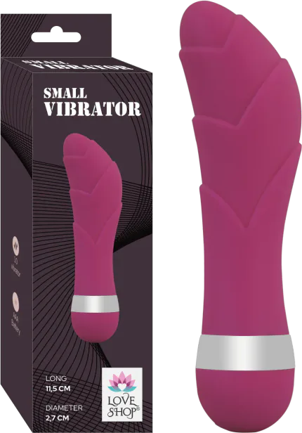 Small Vi̇brator