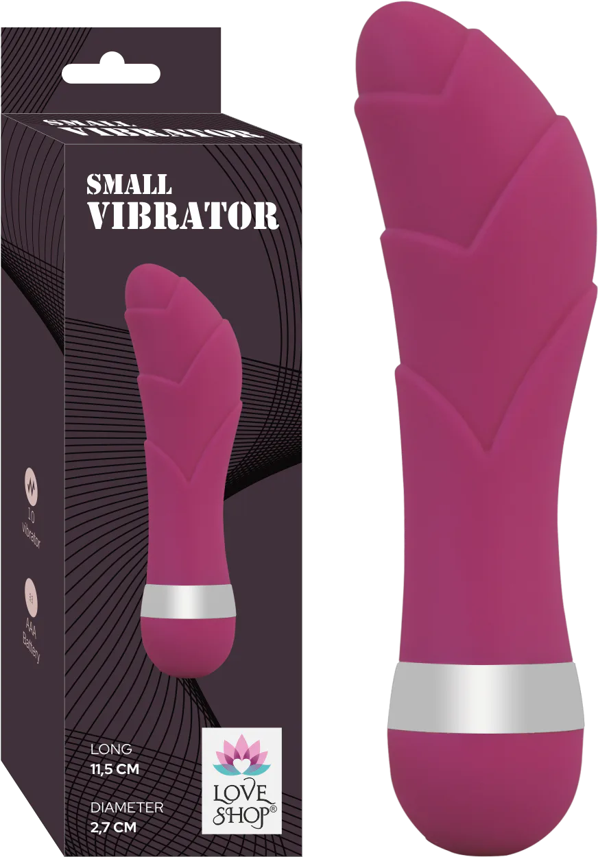 Small Vi̇brator