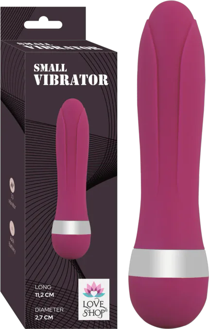 Small Vi̇brator