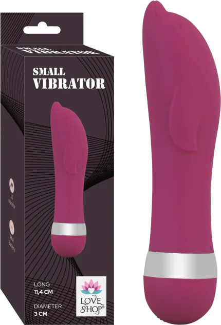 Small Vi̇brator